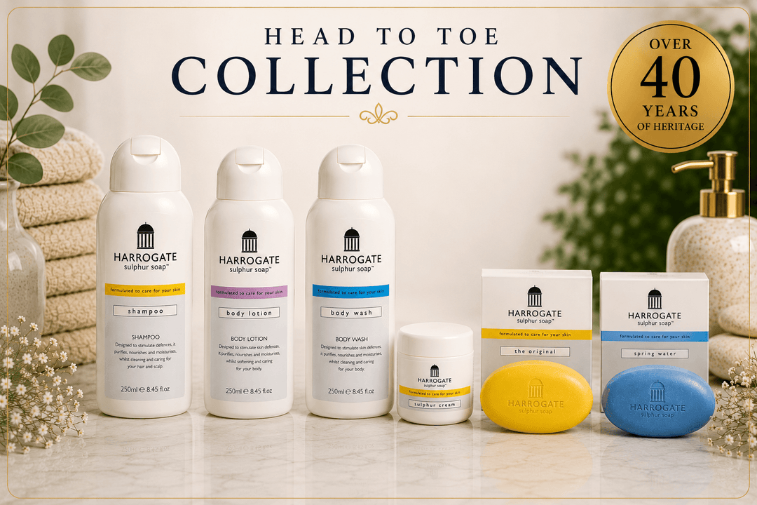 Head to Toe Collection featuring complete skincare collection from Harrogate, including shampoo, body wash, lotion, and soaps.